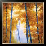 Buy Blue Wood Canopy at AllPosters.com