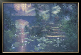 Peaceful Pause