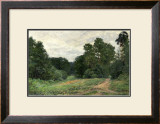 Buy The Green May at AllPosters.com