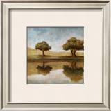 Buy Reflection at AllPosters.com
