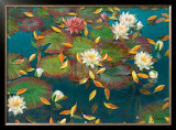 Buy Lily Pad I at AllPosters.com
