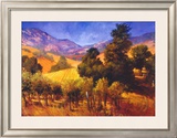 Buy SouThern Vineyard Hills at AllPosters.com