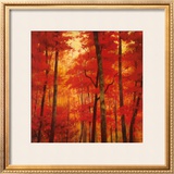 Buy Vermilion Wood at AllPosters.com