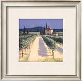 Buy Vineyard Shadows at AllPosters.com