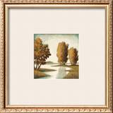 Buy Shadow River at AllPosters.com