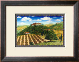 Wine Vinyard Estates