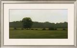 Buy Resting Place at AllPosters.com
