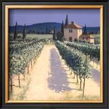 Buy Vineyard Shadows at AllPosters.com