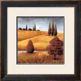 Field and Stream III