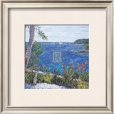 Buy Les Aloes du Cap at AllPosters.com