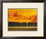 Buy Afterglow I at AllPosters.com