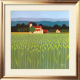 Spring Wheat Field