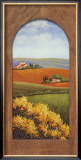 Summer Day in Umbria III