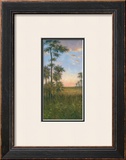 Buy Tropical Serenity II at AllPosters.com
