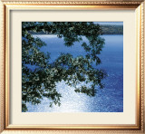 Silver Light, 2006