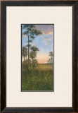 Tropical Serenity II