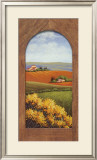 Summer Day in Umbria III