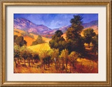Buy SouThern Vineyard Hills at AllPosters.com