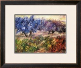 Buy Olivares y Vinedos at AllPosters.com