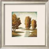 Buy Shadow River at AllPosters.com