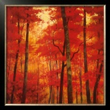 Buy Vermilion Wood at AllPosters.com