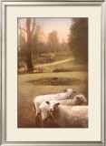 Ruthie's Sheep Framed Art Print