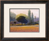 Buy Campana at AllPosters.com