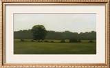 Buy Resting Place at AllPosters.com