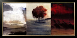 Buy Stormy Day at AllPosters.com