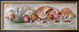 Buy Ocean Still Life I at AllPosters.com