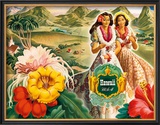 Hawaii USA