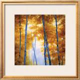 Buy Blue Wood Canopy at AllPosters.com