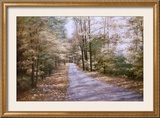 Autumn Path