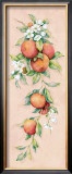 Buy Oranges at AllPosters.com