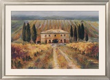 Toscan Vigna
