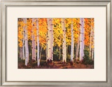 Buy Late Light at AllPosters.com