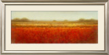 Buy Field of Poppies at AllPosters.com