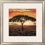 Masai Tree
