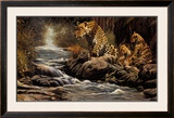 Buy Watchful Eye at AllPosters.com