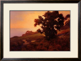 Buy Golden Light at Sunset at AllPosters.com