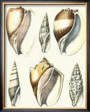 Buy Of Sea and Shore V at AllPosters.com