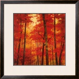 Buy Vermilion Wood at AllPosters.com