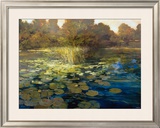 Buy Waterlilies at AllPosters.com