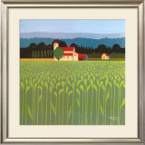 Spring Wheat Field