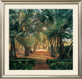Buy Allee of Olives at AllPosters.com
