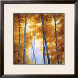 Buy Blue Wood Canopy at AllPosters.com
