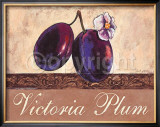 Buy Victoria Plum at AllPosters.com