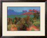 Buy High Desert at AllPosters.com