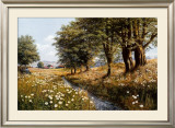 Buy Summer Brook at AllPosters.com