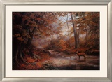 Woodland Stream